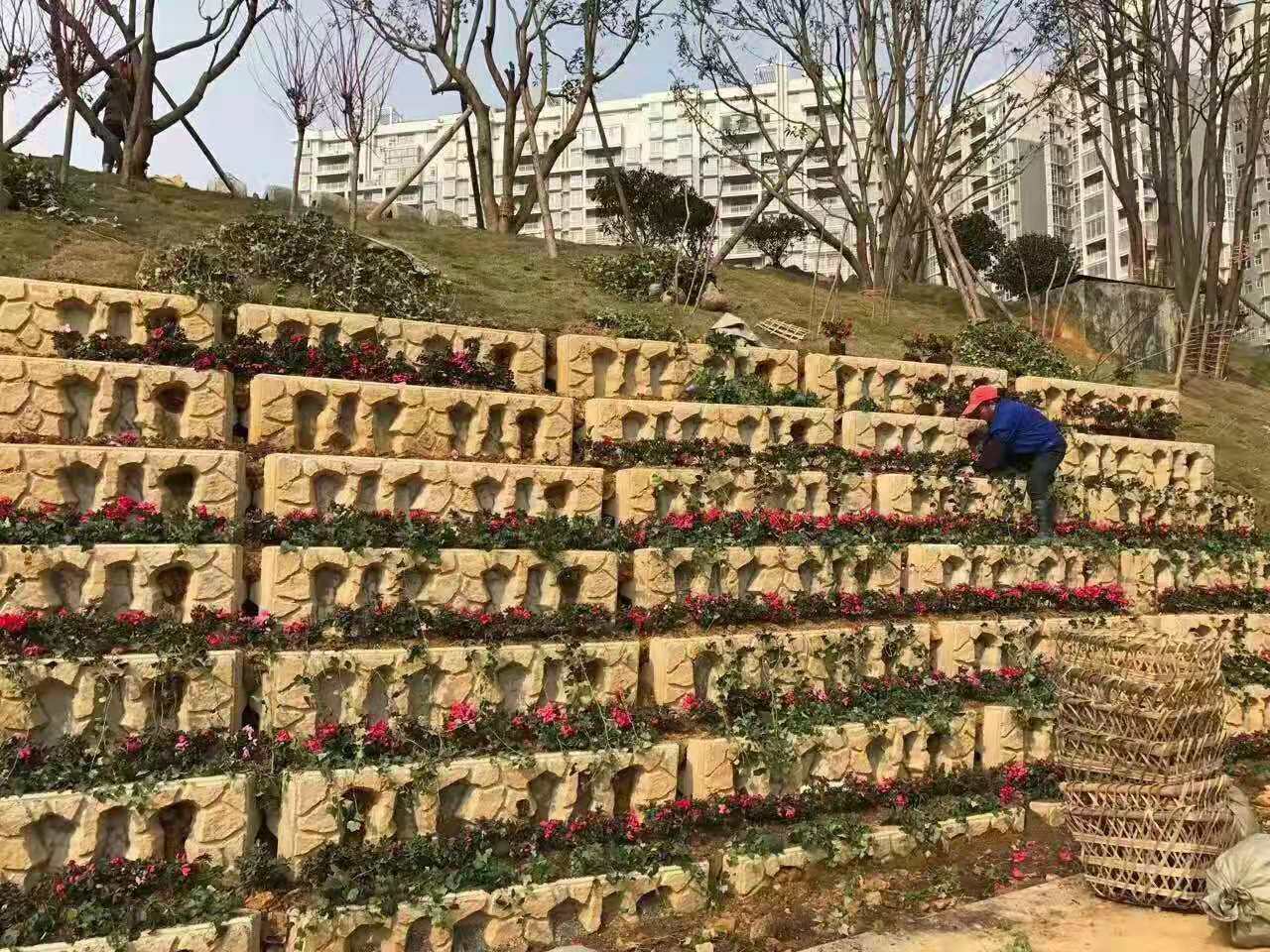 河道生態(tài)框